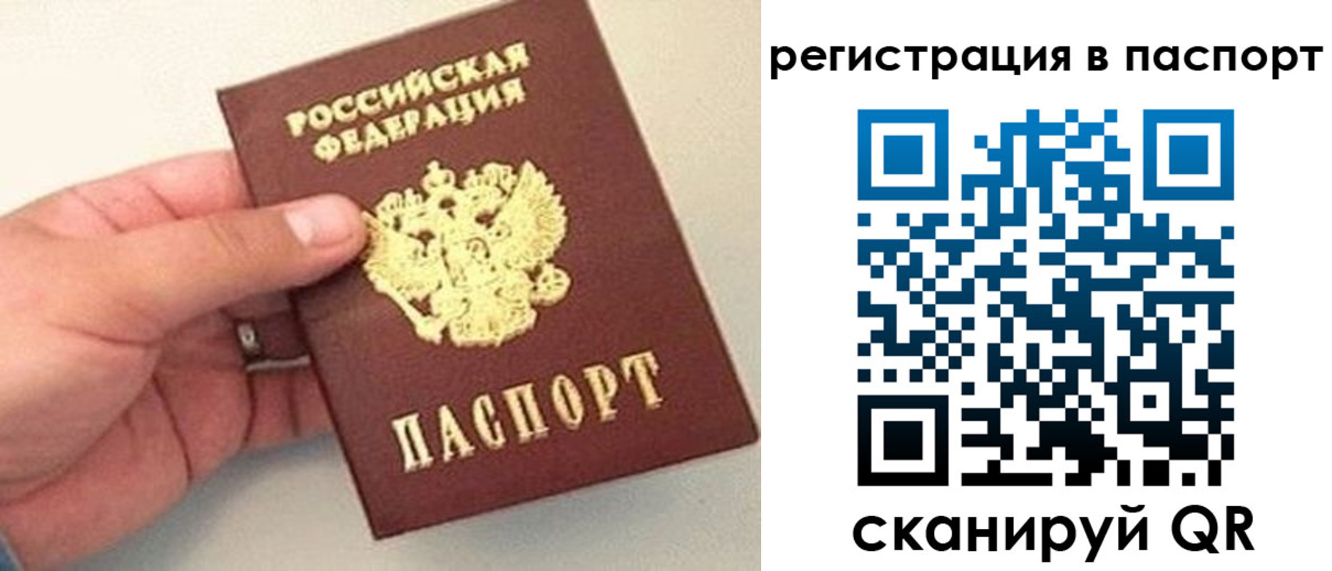 прописка законно в Московской области