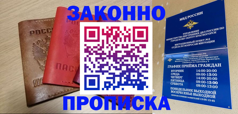 временная регистрация собственник в Московской области